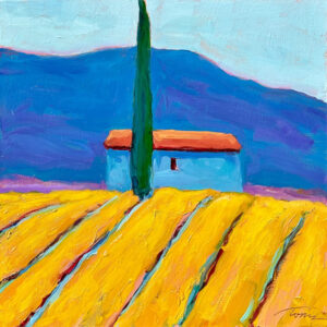 Sunset House - Tuscany